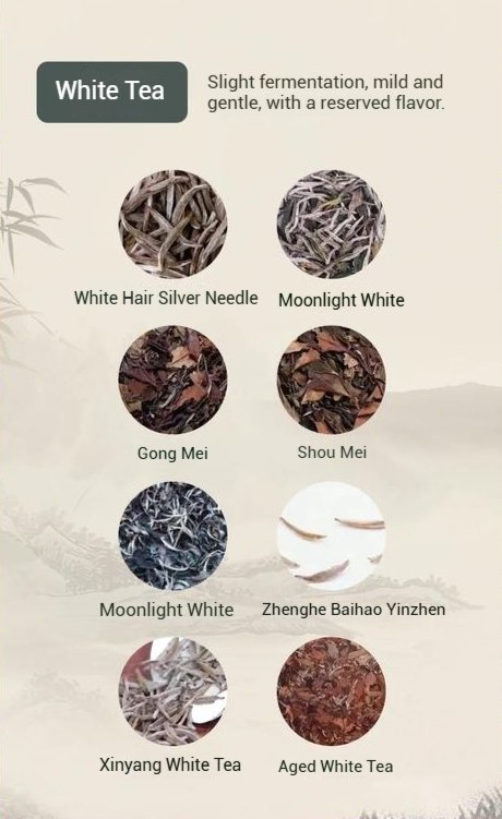 white tea -2