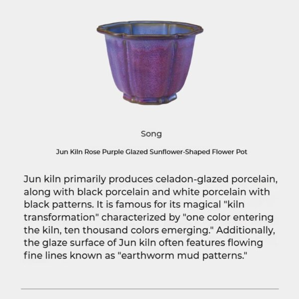 EchoesofFire·TheFiveGreatKilnsPorcelainCupSet25