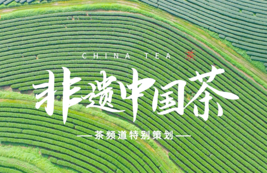 Chinese Intangible Cultural Heritage-Tea Art Inheritor